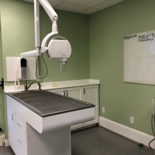 Dental room and equipment at Court Street Animal Hospital